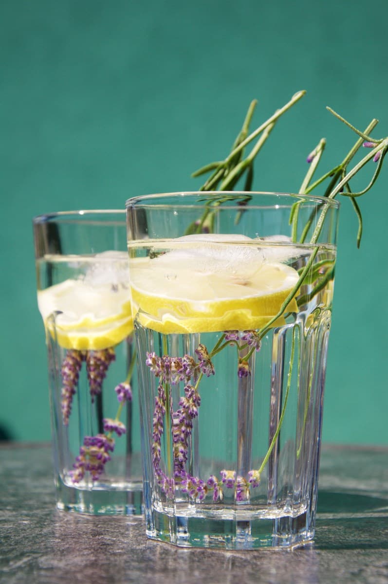 Zahrada a okolí hotelu v Přimdě