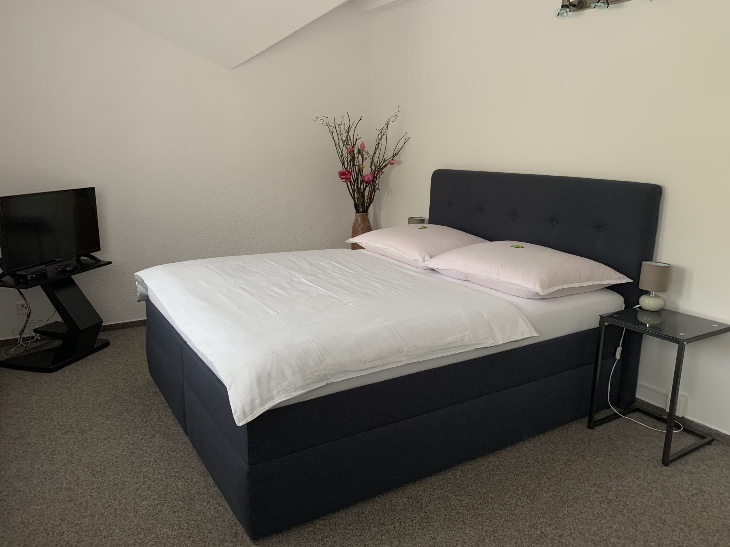 Dvoulůžkový pokoj v Hotelu v Podhradí Přimda