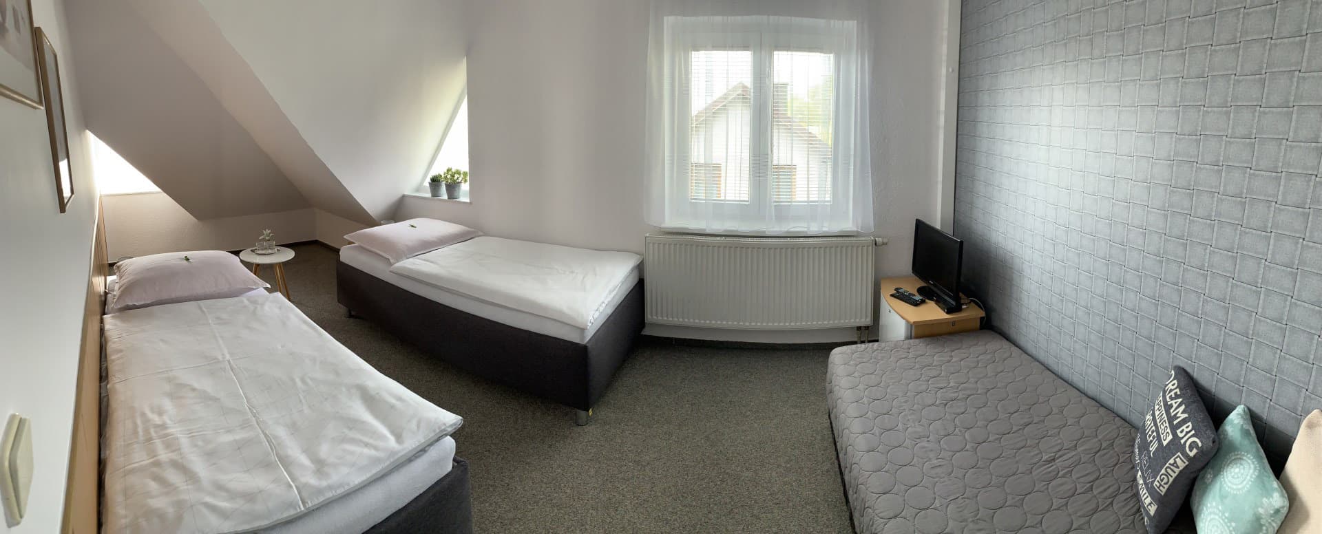 Jednolůžkový pokoj s TV a chladničkou – ubytování Přimda