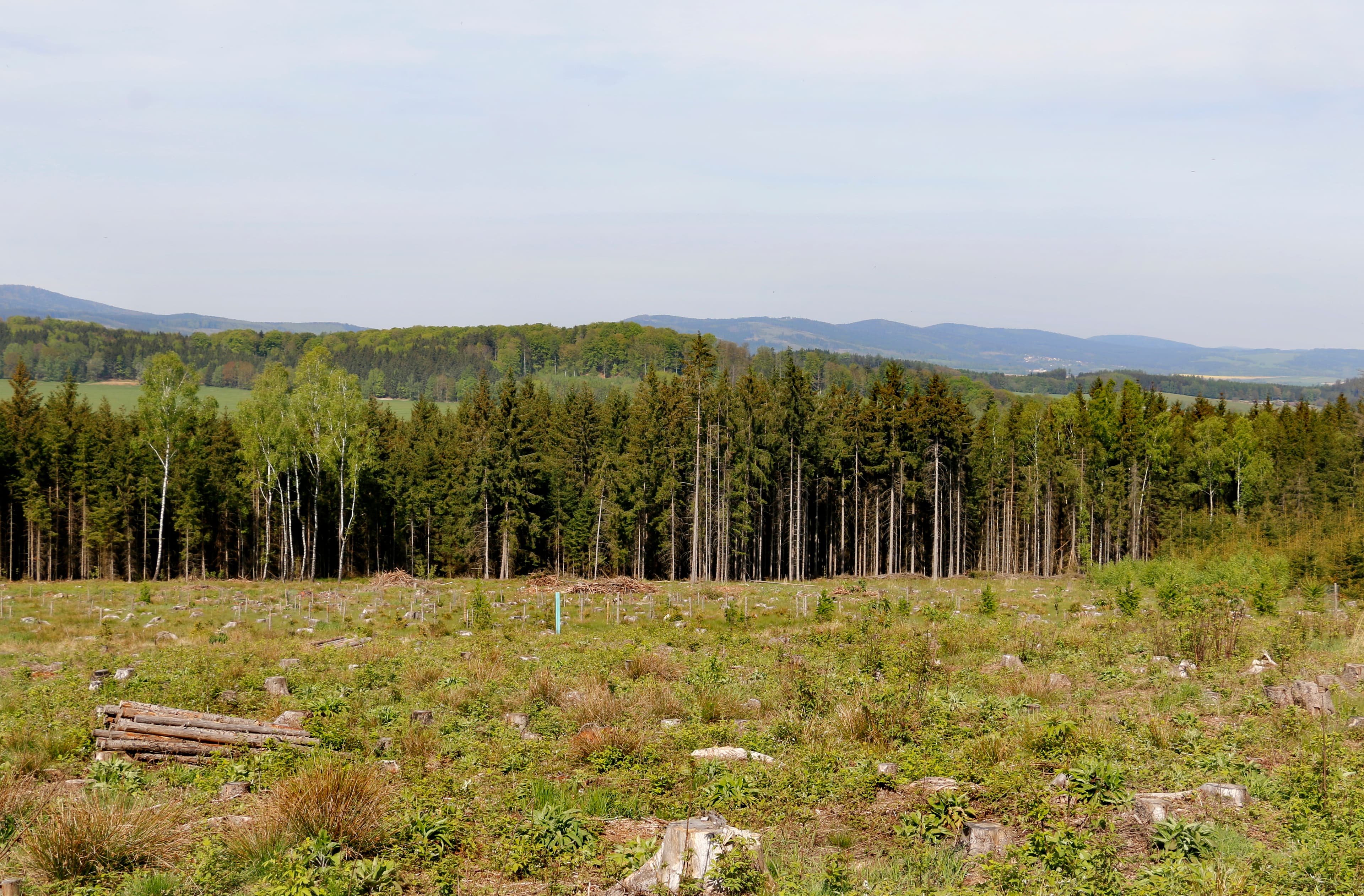 Český les – pěší túry